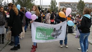 Запорізькі зооактивісти влаштували марш за права тварин