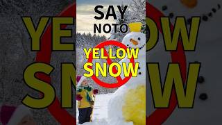 say no to yellow snow! winter water Gathering Pro tip #scout  #fyp #camping