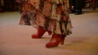 Flamenco - Pilar León