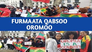 Oduu Guyyaa Har'aa | Jamal Ganamo | Furtuu Bilisummaa Dhugaa Oromoo | Oromo Pride