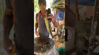 Huge snakehead fish cutting #Lula #fishing #howtocutbigfishinmarket #fish #riverfishcutting #fishing