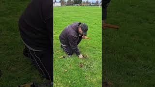 November 24, 2024 metal detecting #metaldetecting