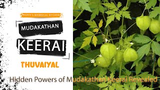 Mudakathan Keerai Thuvaiyal | முடக்கத்தான் கீரை துவையல் |Hidden Powers of Mudakathan Keerai Revealed