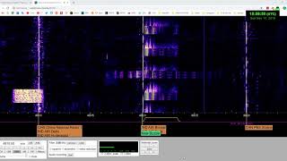 More on the "New Buzzer" at 4810 kHz