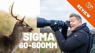 Van 60mm naar 600mm in een HANDOMDRAAI! - Sigma 60-600 F4.5 - 6.3 DG DN OS SPORTS Review