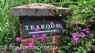 Tearoom Reopens