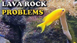 LAVA ROCK in REEF TANK | Hair Algae | Fluval Shaker 252 UPDATE