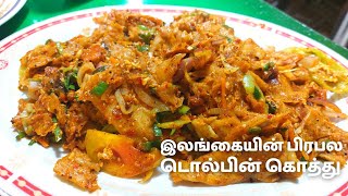 Srilanka Dolphin Kottu - Hatton