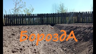 Борозда в огороде