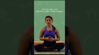 Class 2: Basic Yoga for Beginner 2024 #Yogicjourney