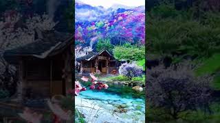 #beautiful #nature #colorful #view #love #mindfulness #air #river #houses #flowers #shorts #video