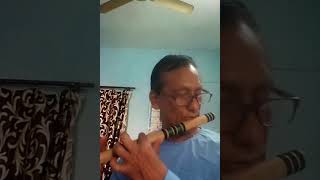 Hawa mai udta jaye tera lal dupta mal mal ka#song#hindi#flute dhun#shorts