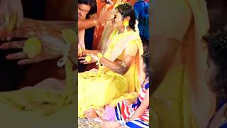 Haldi ceremony ✨💫❤️|Wedding diaries Short-2| #navyakadiyala  #wedding #haldi #like #share #subscrib