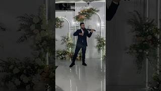 Live performance in wedding #violincover #скрипкачелябинск #wedding #romantic #love