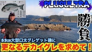 【三重県・錦磯】2021.12.15に53センチ大型口太グレをゲットした米島のハナレ！！柳の下のどじょうのごとく更なるデカグレを狙いに行く！