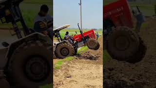 swaraj 855 on full load , farmer life , whatsapp status #shorts #jamindar #viral #kheti #explore