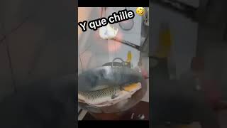 Pescadito muerto se mueve en la sartén