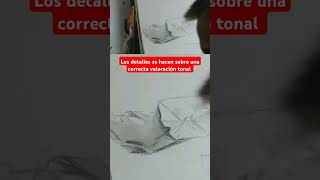 Los detalles se hacen sobre una correcta valoración tonal #dibujo #arte #drawing #art #artist