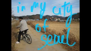 in my city of seoul (cover) by the black skirts