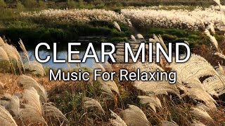 Peace Day 🍀 Relaxing Piano Music 🍀 Music For Stress Relief Music, Spa, Meditation Yoga green drops