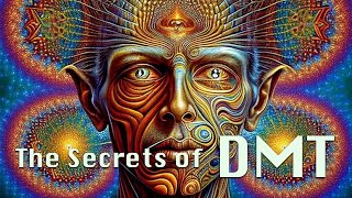 DMT: The Most Intriguing Substance in the Universe?