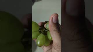 Grapes 🍇 #youtubeshorts #grape #cookingchannel @lakshmishome33 Pls Subscribe 🙏🙏🙏