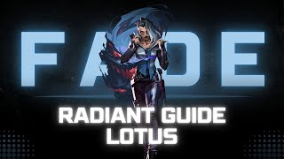 Radiant Beginner Guide | Fade on Lotus