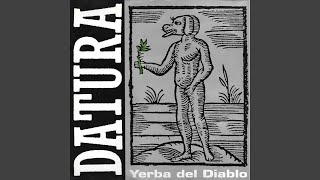 Yerba Del Diablo (Shagras)