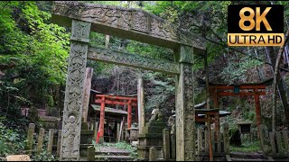 【Kyoto in 8K】京都 大岩神社の参拝