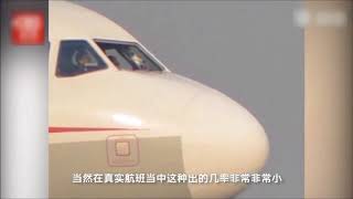 川航空客A319高空驾驶舱挡风玻璃破损 机组“史诗级”处置