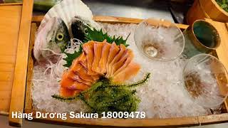 Cá hồi sống ăn sống & nấu lẩu ( Live Salmon sashimi & hotpot )