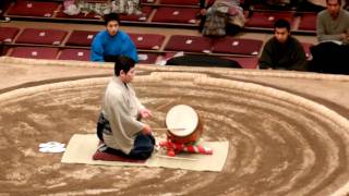 Tokyo Sumo Tournament- opening