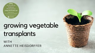 Growing Vegetable Transplants