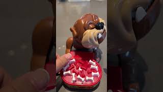 maddog #angry #maddog #playing #satisfying #toy #shorts