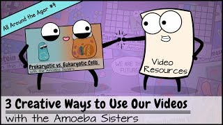 3 Creative Ways to Use Our Edu Videos