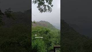 Nasha Chodo Jungle chalo | Very Beautiful Place Pachmarhi | Pachmarhi Vibes | #hillbeauty #nature