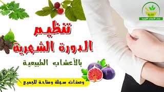 تنظيم الدورة الشهرية بالأعشاب الطبيعية | 7 أعشاب ونباتات لتنظيم الدورة الشهرية | متوفرة بكل بييت