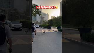 Dubai Mai sadko per Esa socha nhi tha #dubai #dubailife #trending #viral #wildlife #dubaiwild