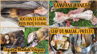 Cara Membersihkan Bulu Kaki Sapi Hingga Siap Untuk Dimasak