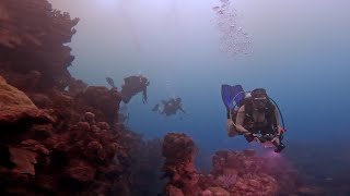 Roatán, Honduras - A deep dive to the "Hole in the Wall" -  November 2022