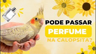 PODE PASSAR PERFUME NA CALOPSITA ?