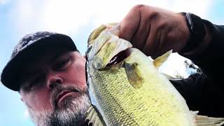 Bass Fishing San Diego, CA, Arizona and Texas