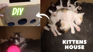 How to Make Kittens home DIY / DIY Cats Home