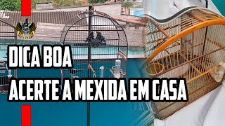 Dica boa: Acerte a mexida do seu tiziu em casa, poupe tempo