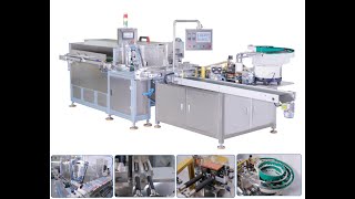 Automatic Cosmetic & Pharma tube Sealing and Capping Machine