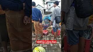 Aktifitas Lelang Ikan,#shorts