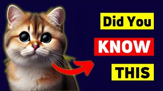 12 Fascinating Facts About Female Cats