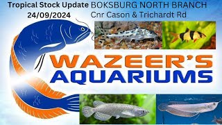 Tropical Stock Update 24/09/2024 Boksburg North Branch [Cnr Cason & Trichardt Rd ]