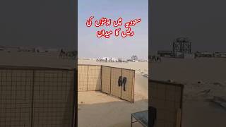 سعودیہ میں اونٹوں کی ریس کا میدان | camel Running in saudia Arabia| Racing Camel 🐪🐫🐪 #viral #live