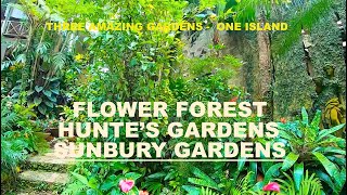 TOP 3 BOTANICAL GARDENS IN BARBADOS: Hunte's, Sunbury and Flower Forest Gardens